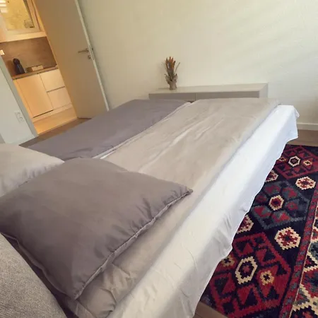 Apartment Modesty *